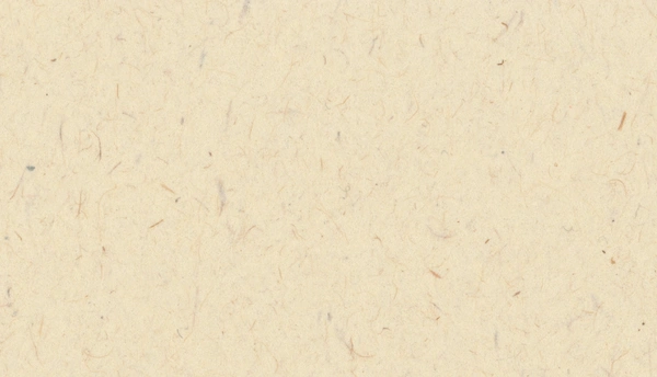  Straw Cream Premium Recycled